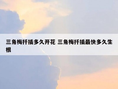 三角梅扦插多久开花 三角梅扦插最快多久生根