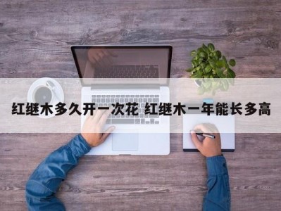 红继木多久开一次花 红继木一年能长多高