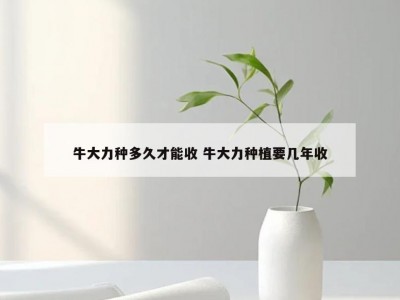 牛大力种多久才能收 牛大力种植要几年收