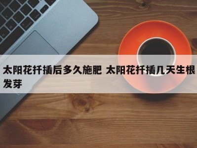 太阳花扦插后多久施肥 太阳花扦插几天生根发芽