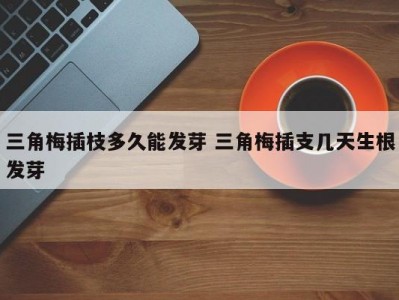 三角梅插枝多久能发芽 三角梅插支几天生根发芽