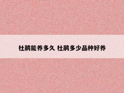 杜鹃能养多久 杜鹃多少品种好养