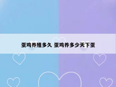 蛋鸡养殖多久 蛋鸡养多少天下蛋