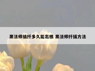 黑法师插扦多久能出根 黑法师扦插方法