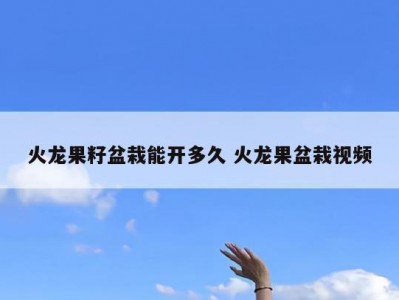 火龙果籽盆栽能开多久 火龙果盆栽视频