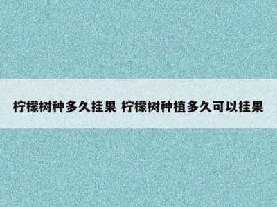 柠檬树种多久挂果 柠檬树种植多久可以挂果