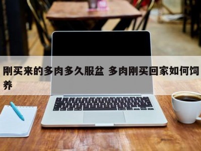 刚买来的多肉多久服盆 多肉刚买回家如何饲养