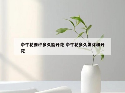 牵牛花要种多久能开花 牵牛花多久发芽和开花
