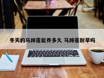 冬天的马蹄莲能养多久 马蹄莲耐旱吗
