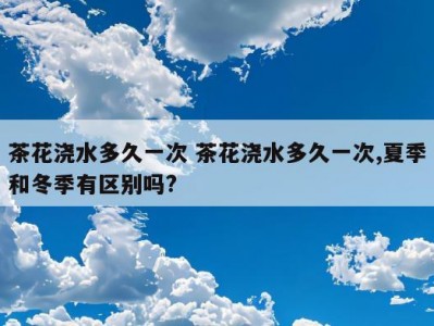 茶花浇水多久一次 茶花浇水多久一次,夏季和冬季有区别吗?