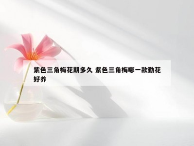 紫色三角梅花期多久 紫色三角梅哪一款勤花好养