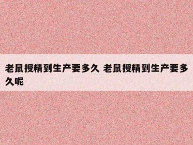 老鼠授精到生产要多久 老鼠授精到生产要多久呢