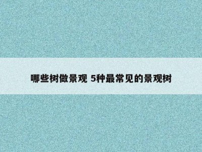 哪些树做景观 5种最常见的景观树
