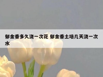 郁金香多久浇一次花 郁金香土培几天浇一次水