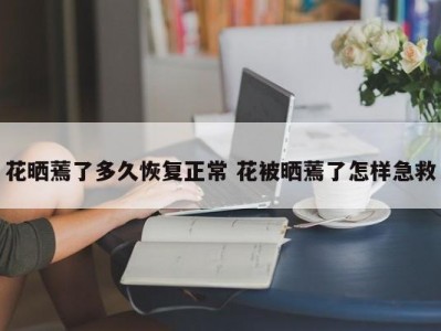 花晒蔫了多久恢复正常 花被晒蔫了怎样急救