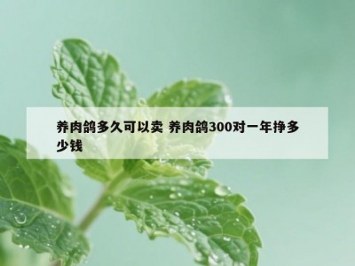 养肉鸽多久可以卖 养肉鸽300对一年挣多少钱