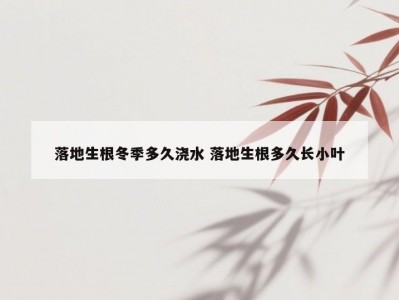 落地生根冬季多久浇水 落地生根多久长小叶