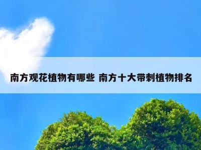 南方观花植物有哪些 南方十大带刺植物排名