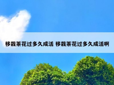移栽茶花过多久成活 移栽茶花过多久成活啊