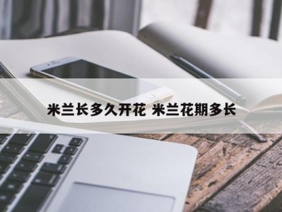 米兰长多久开花 米兰花期多长