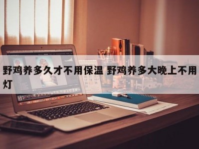 野鸡养多久才不用保温 野鸡养多大晚上不用灯