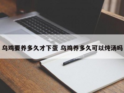 乌鸡要养多久才下蛋 乌鸡养多久可以炖汤吗
