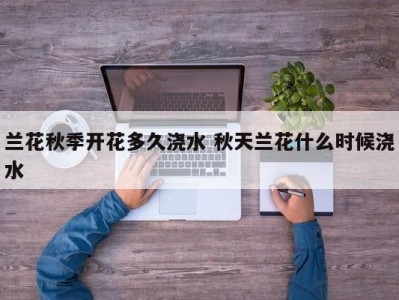 兰花秋季开花多久浇水 秋天兰花什么时候浇水