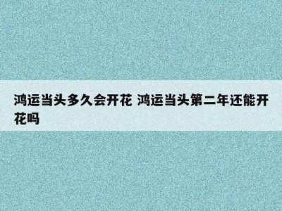 鸿运当头多久会开花 鸿运当头第二年还能开花吗