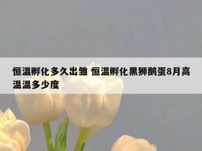 恒温孵化多久出雏 恒温孵化黑狮鹅蛋8月高温温多少度