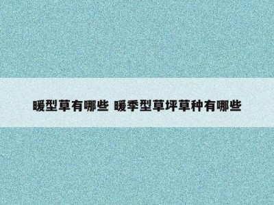 暖型草有哪些 暖季型草坪草种有哪些