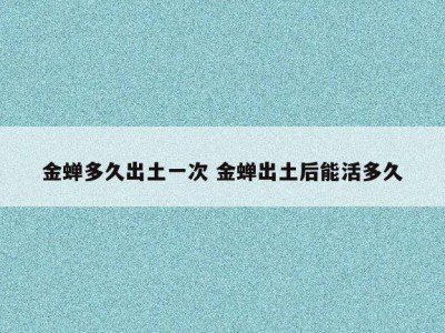 金蝉多久出土一次 金蝉出土后能活多久