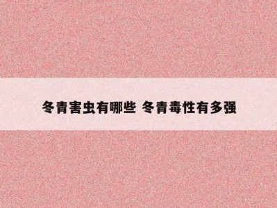 冬青害虫有哪些 冬青毒性有多强