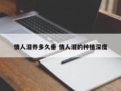 情人泪养多久垂 情人泪的种植深度