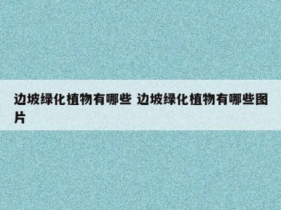 边坡绿化植物有哪些 边坡绿化植物有哪些图片
