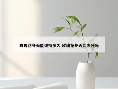 玫瑰花冬天能维持多久 玫瑰花冬天能冻死吗