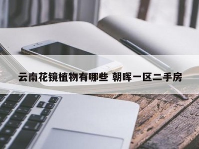 云南花镜植物有哪些 朝晖一区二手房