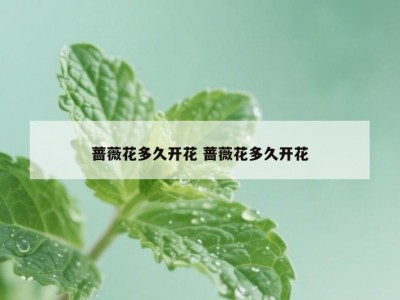 蔷薇花多久开花 蔷薇花多久开花