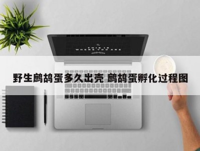 野生鹧鸪蛋多久出壳 鹧鸪蛋孵化过程图