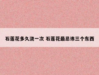 石莲花多久浇一次 石莲花最忌讳三个东西