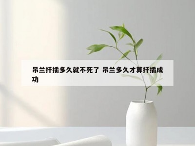 吊兰扦插多久就不死了 吊兰多久才算扦插成功