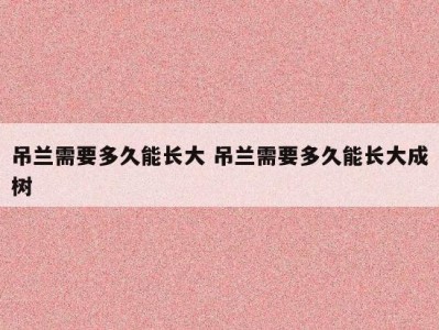 吊兰需要多久能长大 吊兰需要多久能长大成树