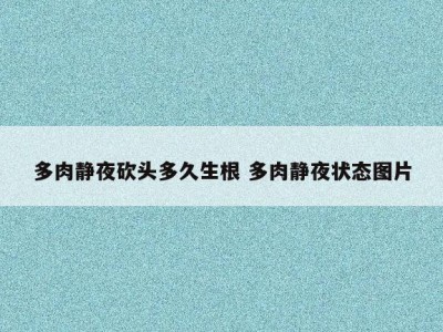 多肉静夜砍头多久生根 多肉静夜状态图片