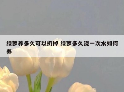 绿萝养多久可以扔掉 绿萝多久浇一次水如何养