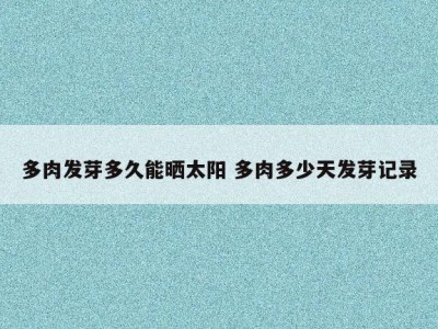 多肉发芽多久能晒太阳 多肉多少天发芽记录