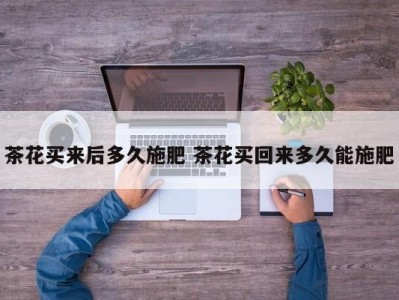 茶花买来后多久施肥 茶花买回来多久能施肥