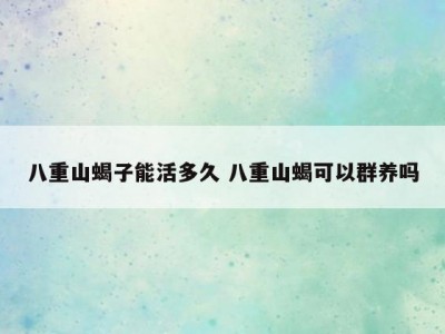 八重山蝎子能活多久 八重山蝎可以群养吗