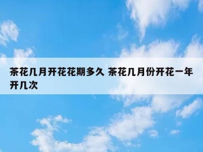 茶花几月开花花期多久 茶花几月份开花一年开几次