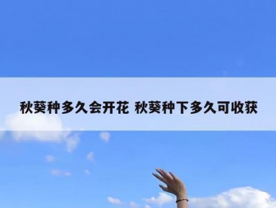 秋葵种多久会开花 秋葵种下多久可收获