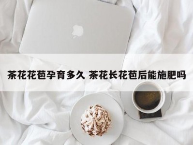 茶花花苞孕育多久 茶花长花苞后能施肥吗