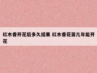 红木香开花后多久结果 红木香花苗几年能开花